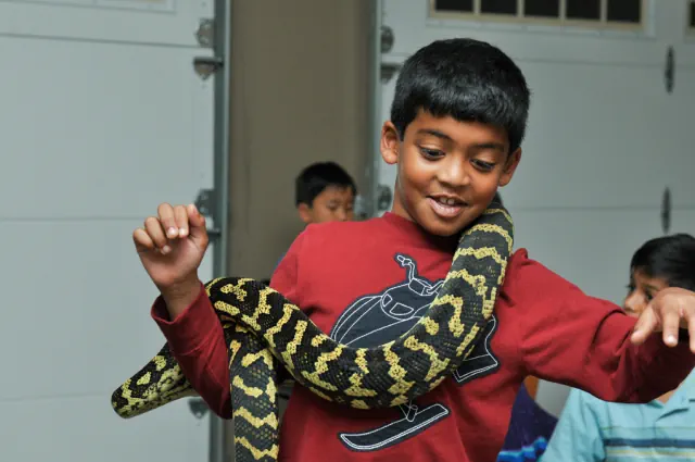 Birthday - Sohan