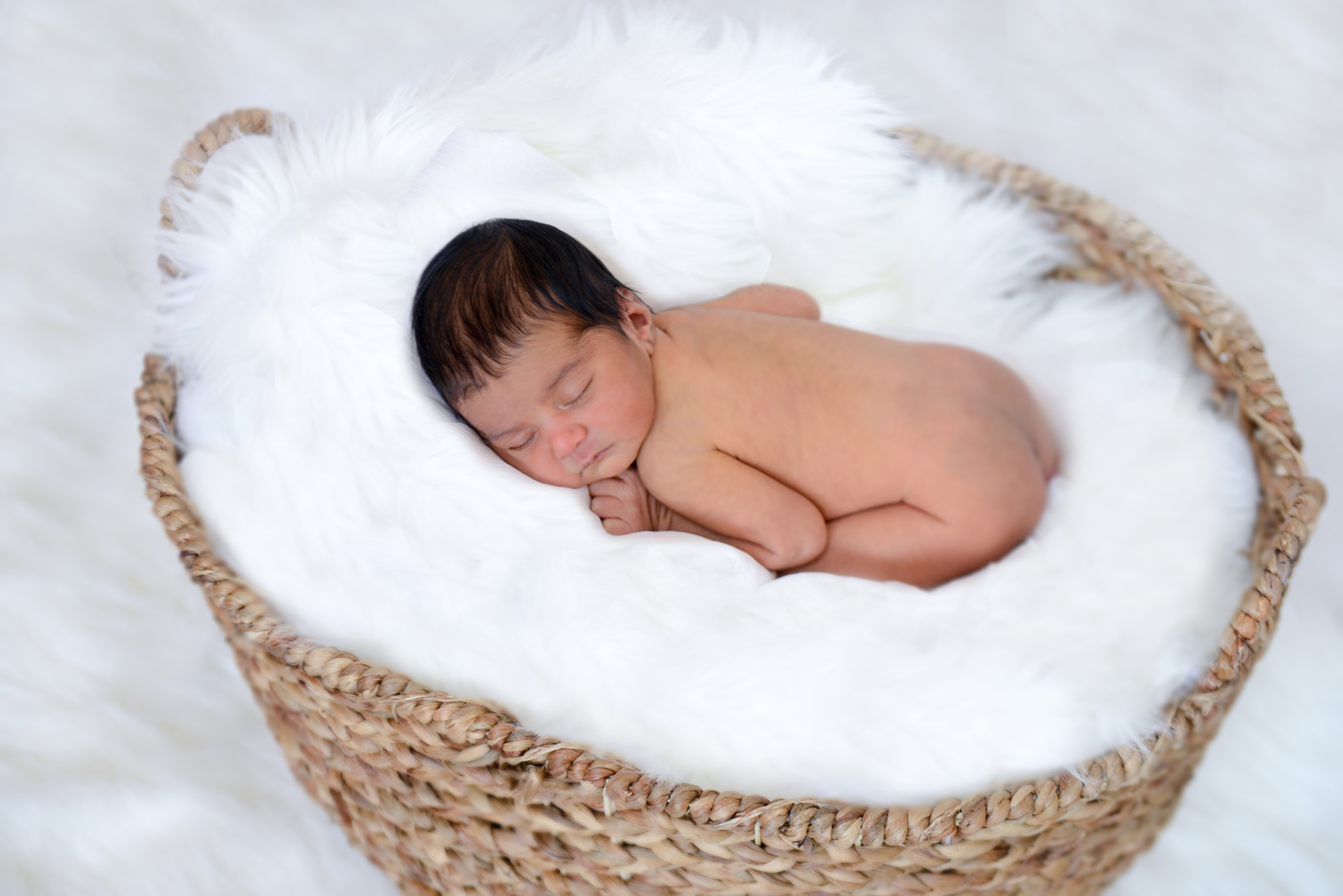 Newborn Session  4