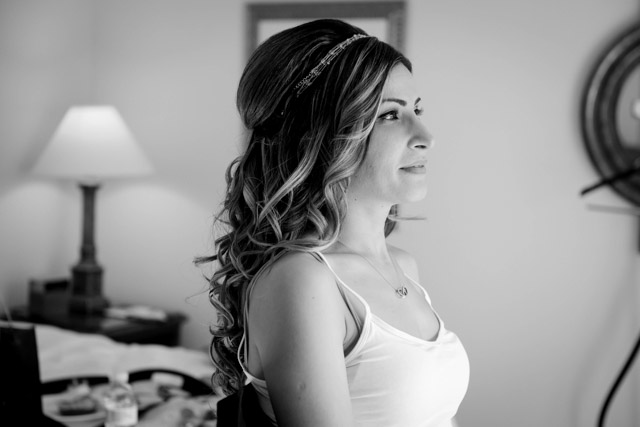 Wedding - Arash and Shohreh Wilder Quarry House, Orinda, CA 0