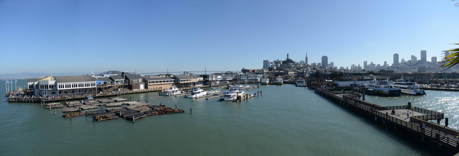 Wedding - Bjoy and Amy — Forbes Island, Pier 39, San Francisco, CA