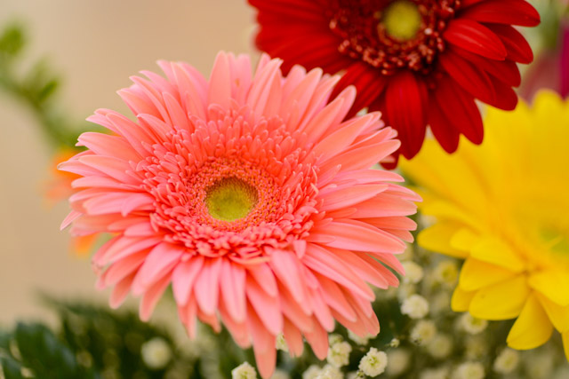 Wedding - Chip and Anita Grandview Pavilion, Alameda, CA 5
