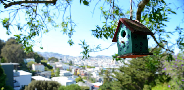 Wedding - Connie and Amber Bernal Heights, San Francisco, CA 0