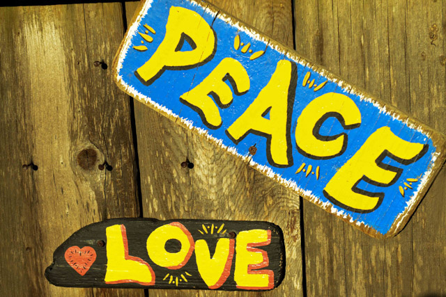 Wedding - Connie and Amber Bernal Heights, San Francisco, CA 26