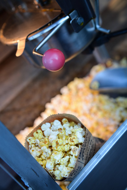 Wedding - Daniel and Yanicka Heritage Barn, Dublin, CA 51