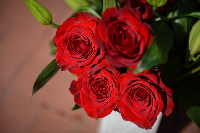 Wedding - David and Sabrina Christ Episcopal Church, Sausalito, CA 10