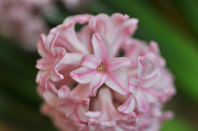 Wedding - David and Sabrina Christ Episcopal Church, Sausalito, CA 51