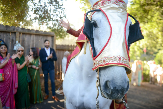 Wedding - Sanjay and Melissa Pleasanton, CA 34