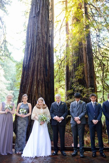 Wedding - Zeph and Natasha — Muir Woods National Monument, Mill Valley, CA